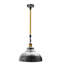 Manston 1 - Light Pendant-1561162554
