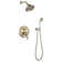 Bathroom Complete Shower System with Rough-In Valve with Shower Head