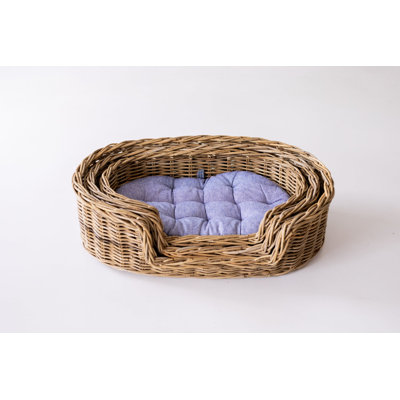 Pet Bowl - M