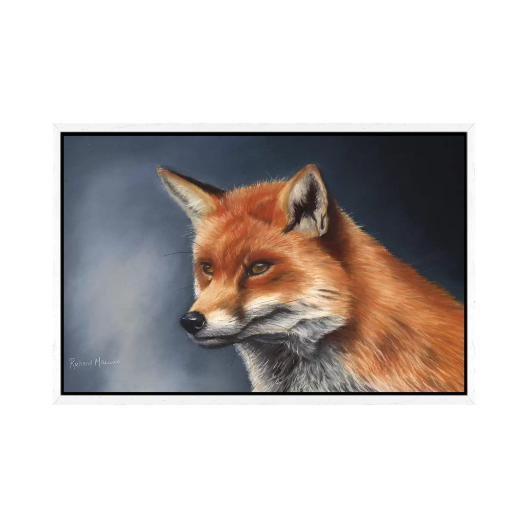 Rotfuchs von Richard Macwee - Galerie-verpackte Leinwand Giclée auf Leinwand