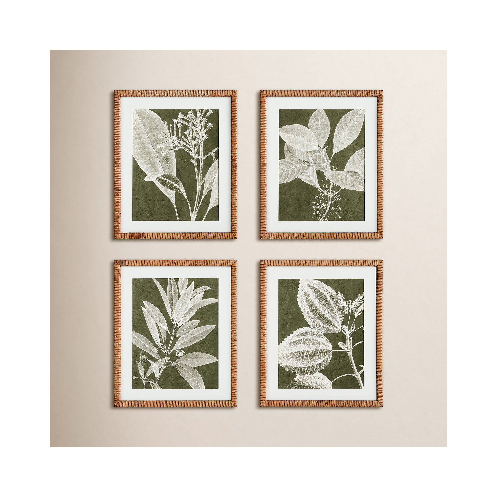 Translucent Stem Prints, Set of 4