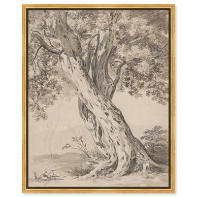 Deux croquis classiques sur toile de chêne entrelacés 800 par 