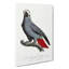 The Grey Parrot by F. Levaillant - Wrapped Canvas-55358728