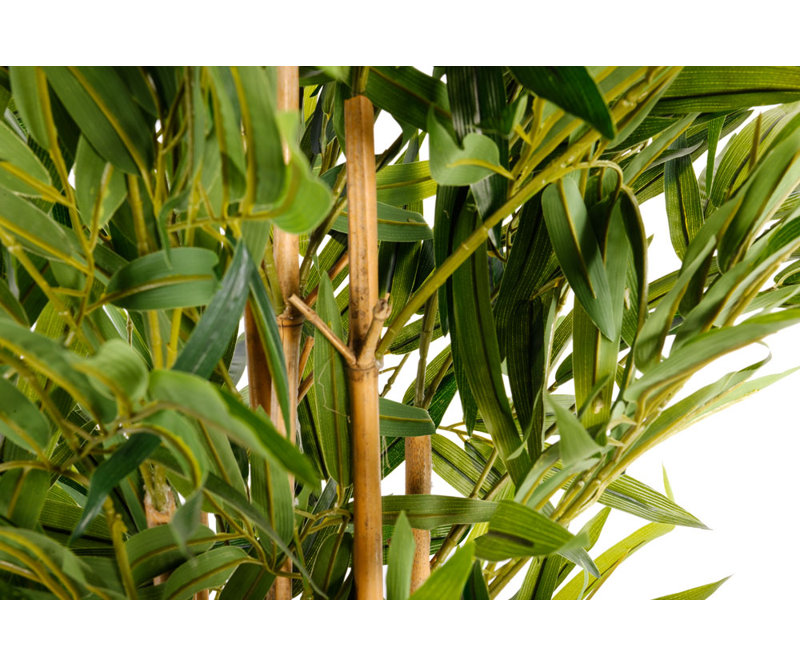 200cm Faux Bamboo Tree in Pot