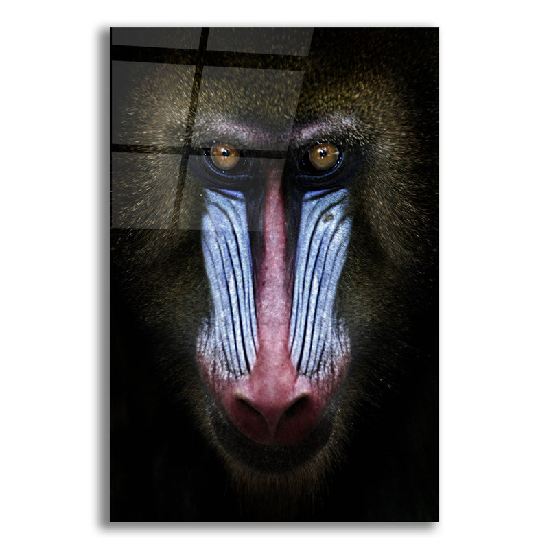 " Mandrill " by SD Smart, 24" H x 16" W x 0.2" D