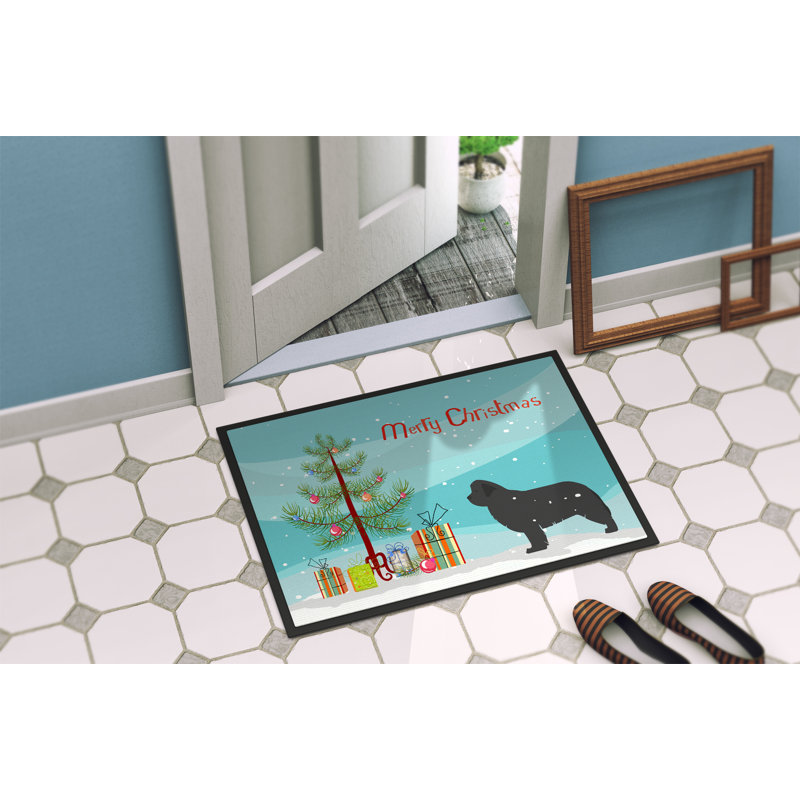 Tapis de porte intérieur anti-dérapant terre-neuve, Rectangle 2 pi x 3 pi