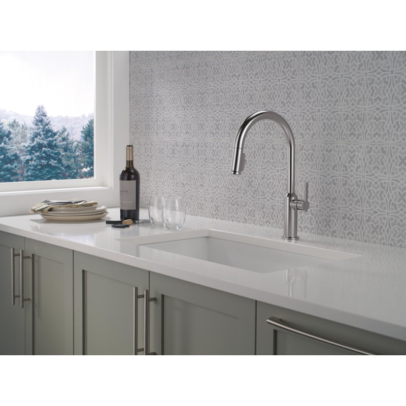 Single Handle Pull-Down Kitchen Faucet, Lumicoat Arctic Stainless