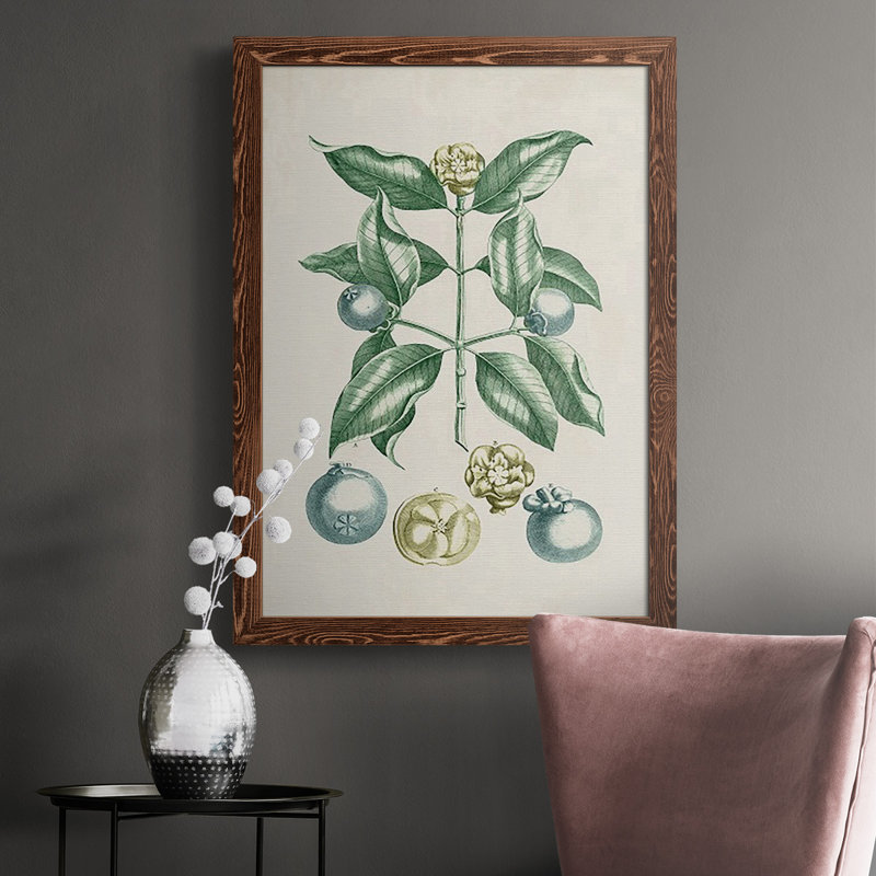 «Buchoz Tropicals VII», reproduction d'art sur toile simple, H 37,5 po x l 27,5 po x P 1 po, Érable
