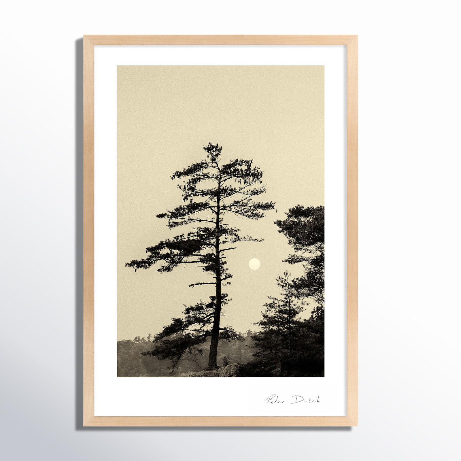 Serenity by Peter Dušek, Brown, 20" H x 14" W x 1.25" D