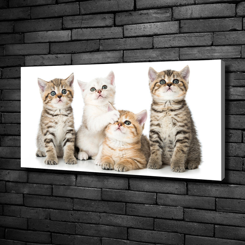 Small Cats - Wrapped Canvas Print
