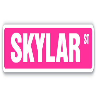 Skylar Street Sign Childrens Name Room Sign