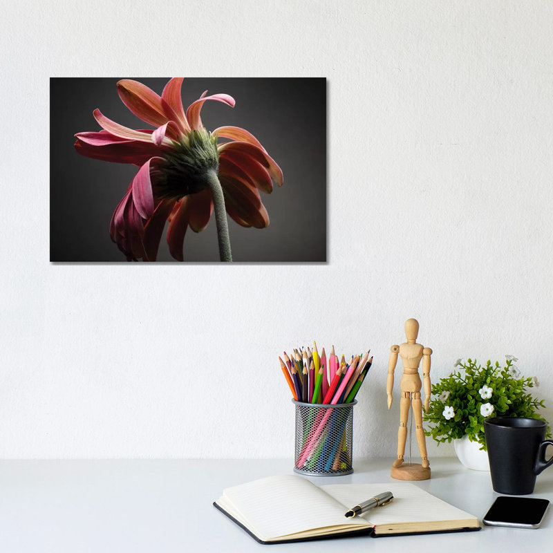 Studio Flowers IV by James McLoughlin - Wrapped Canvas Print, 20.32 cm H x 30.48 cm W