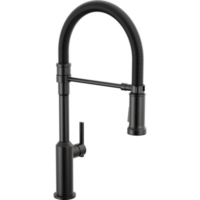 Single Handle Pull-Down Kitchen Faucet With Spring Spout