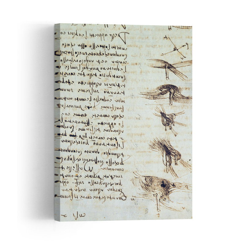 Scientific Diagrams, From The Codex Leicester, 1508-12 Abstract Contemporary Wall Art Print, 91.44cm H x 60.96cm W