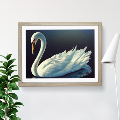 Appealing Swan - Single Picture Frame Print