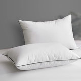Goose Down Plush Support Pillow (set of 2)