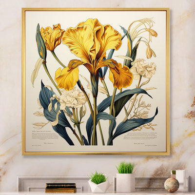 Iris jaune, illustration rétro