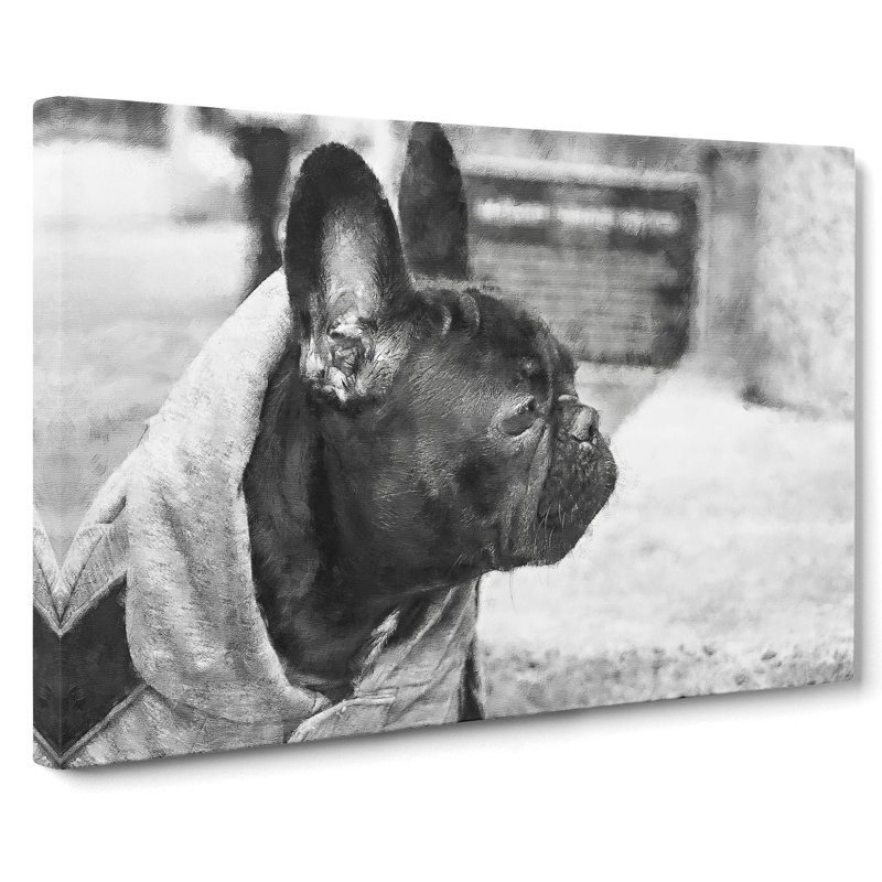 French Bulldog Vol.2 - Wrapped Canvas, 35cm H x 50cm W x 3cm D