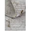 Rashonna Striped and Abstract Indoor / Outdoor Area Rug-731859775