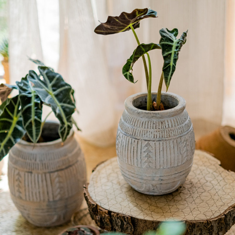 Maruska Pot Planter, 9.1" H x 5.9" W x 5.9" D