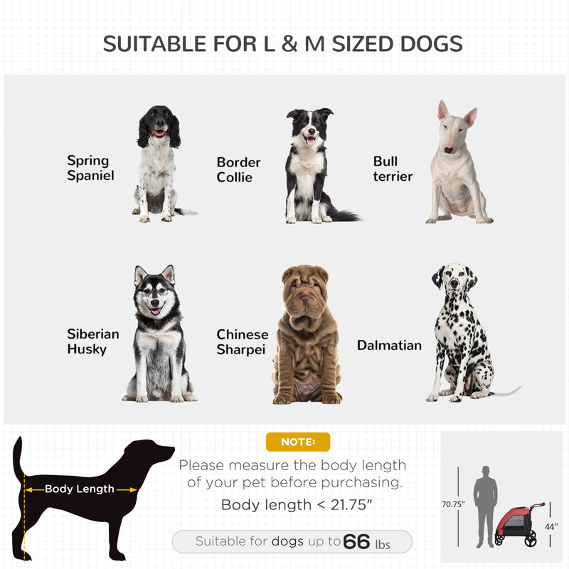 Pawhut Foldable Pet Stroller with Detachable Carrier