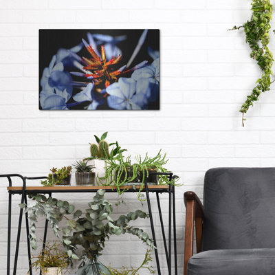 "Fleur bleue et orange" par Dana Brett Munach