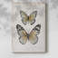 Papillons rétro I - galerie Cavas-302351401