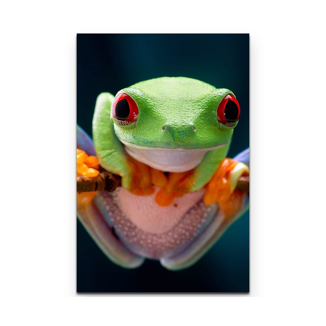 Leinwandbild Frosch mit roten Augen