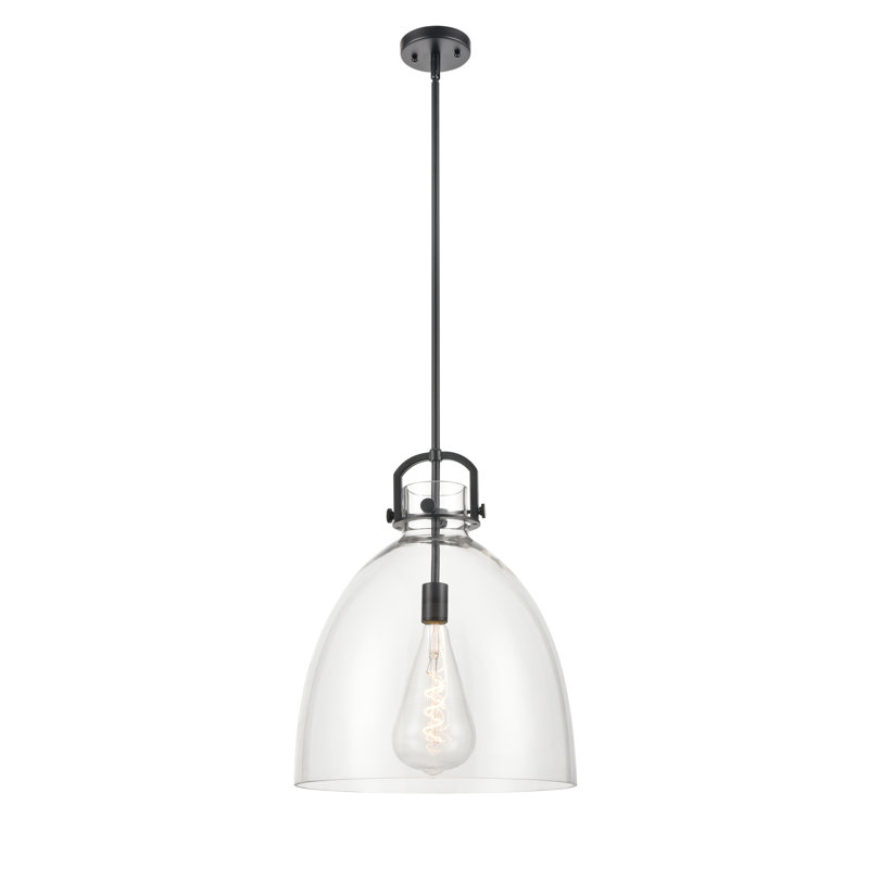Badillo 1 Light Stem Hung Pendant, Clear, 19.63" H x 16" W x 16" D, Matte Black