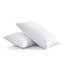 Goose Feather & Down Pillow, 2-Pack – Plush Medium Support Pillows for Back & Side Sleepers-173006421-173006423
