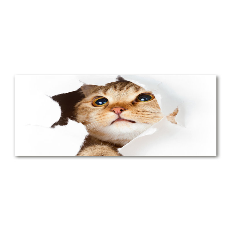 Cat In The Hole - No Frame Print on Canvas