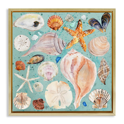 «Seashell» par Melissa Hyatt