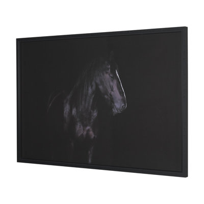 Majestic Midnight Photo Print by Rehpoehler