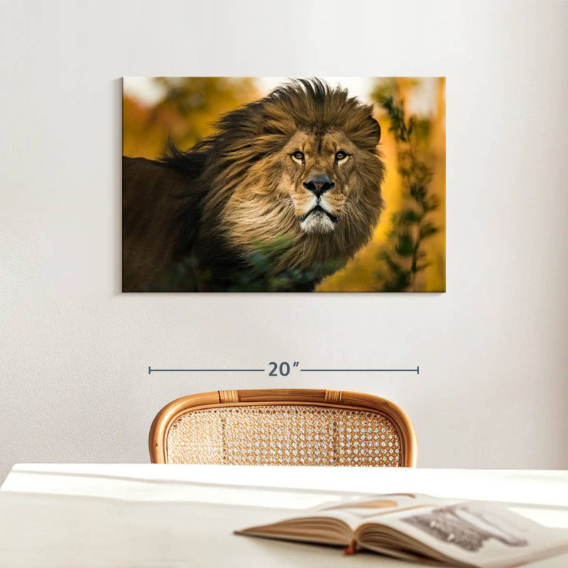 Brampt Lion Head Splendor, 16" H x 24" W