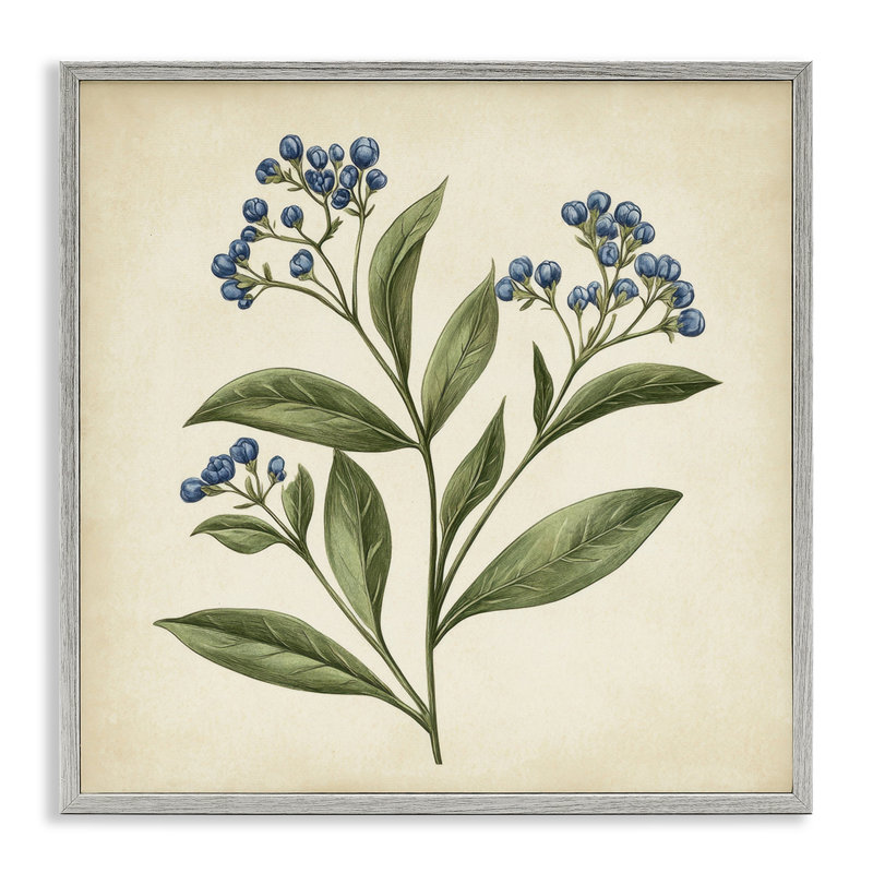 Illustration botanique de bourgeons, estampe numérique, design par Petal Prints Design, Estampe numérique Farmhouse