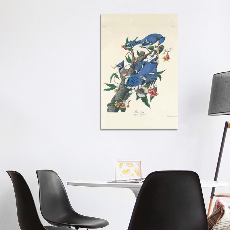 Blue Jay, 1831 by John Audubon - Print on Canvas, 101.6 cm H x 66.04 cm W x 3.175 cm D, Wrapped Canvas