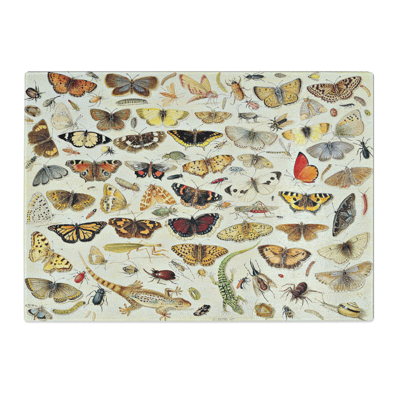 Butterflies and Insects Vol.1 by Jan Van Kessel Chopping Board, 0.4cm H x 28.5cm W x 39cm L