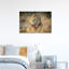 Majestic African Lion Abstract Contemporary Cat Lion Nature Wildlife Wall Art Print-723630375