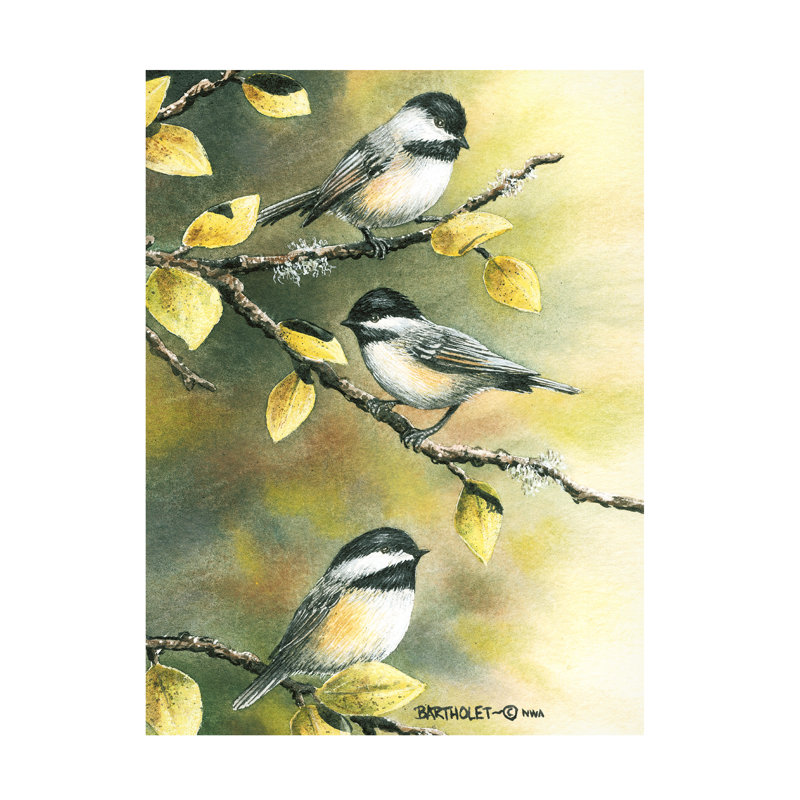 «Dave Bartholet Three Chickadees», art sur toile, H 14 po x l 19 po