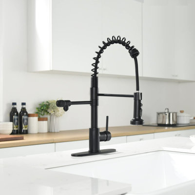 XWSI Pull Out Touch Kitchen Faucet