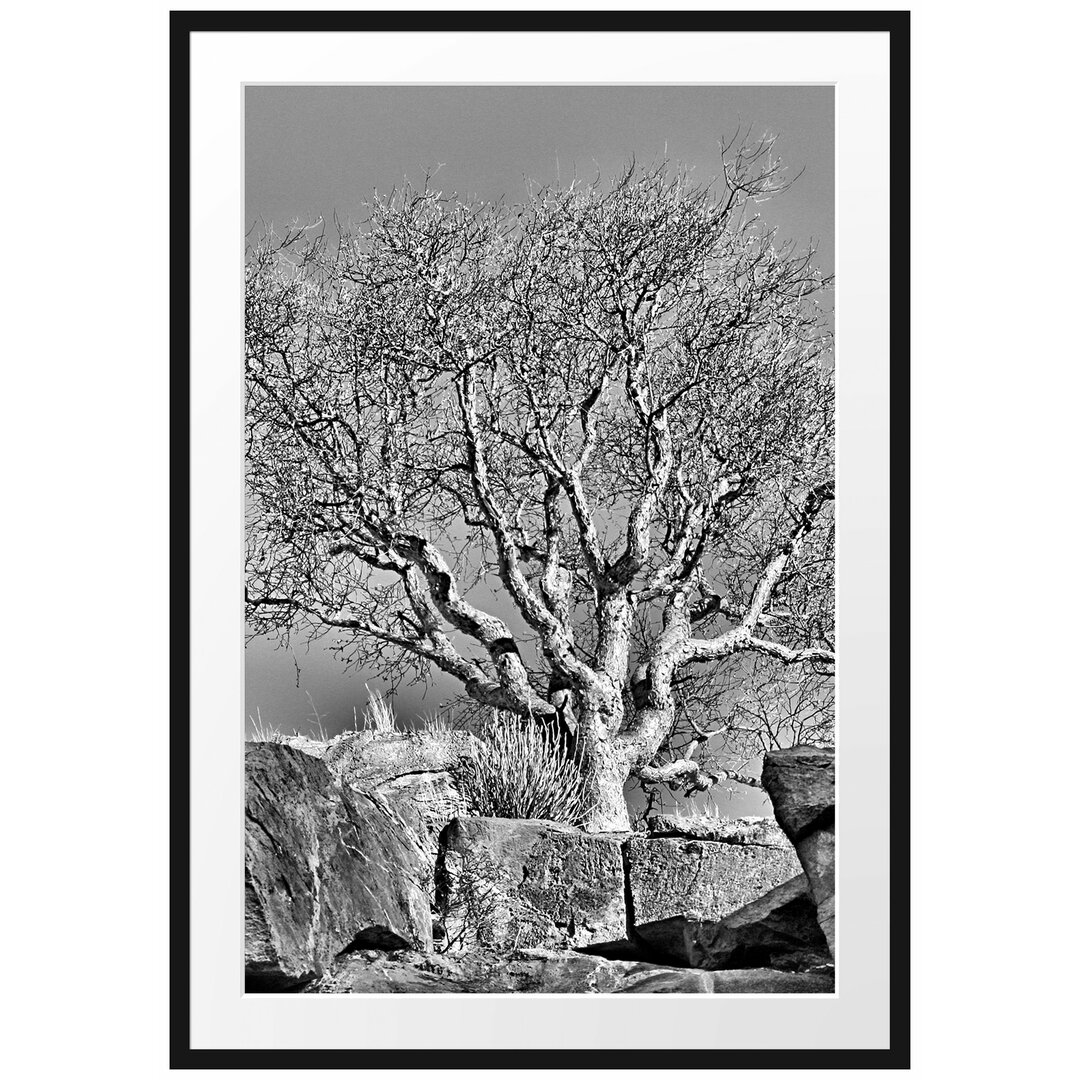 Gerahmtes Poster Einsamer Baum im Gebirge