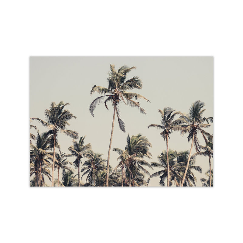 Palm Trees On The Beach by Victoria Frost - Print, 30cm H x 42cm W x 1cm D, Unframed