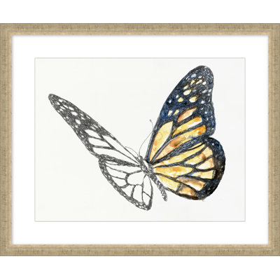 Papillon Croquis 4 Print