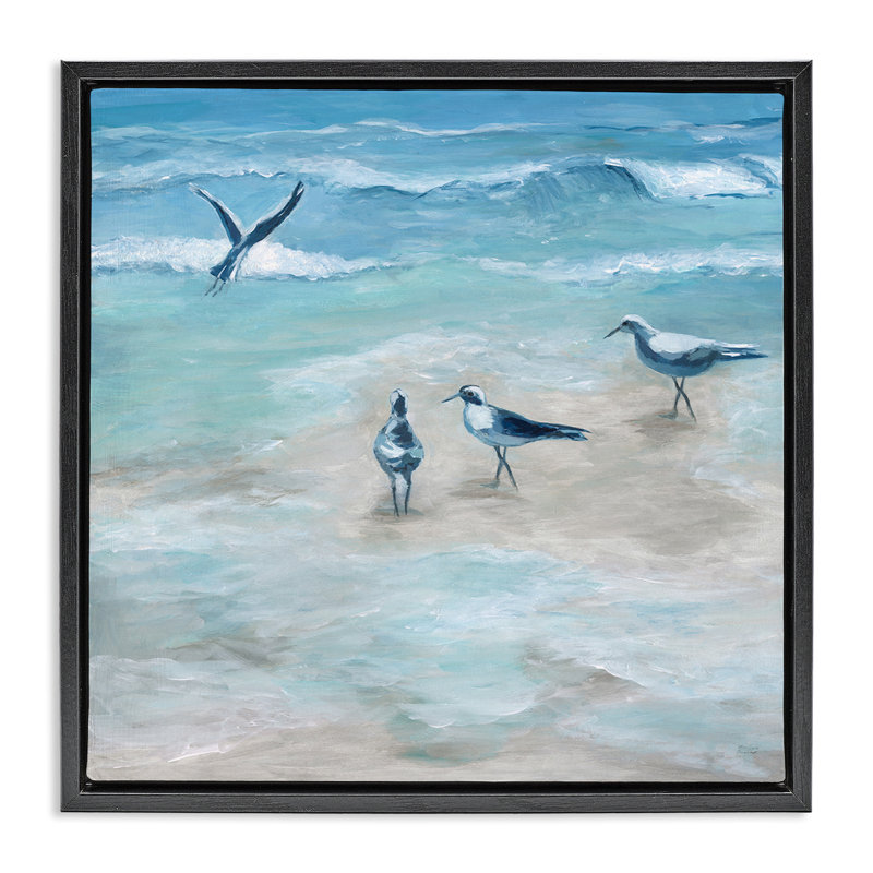 Mouettes côtières sur la plage, Cadre flottant noir de jais, H 18 po x l 18 po