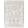 Southwestern Indoor Rug