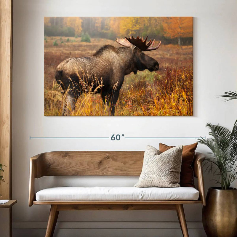 Crowle Mighty Alaskan Moose, H 34 po x l 51 po