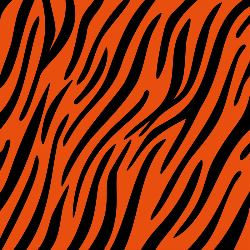Rayures, motif de tigre de la jungle. Imprimé animal blanc et noir. Illustration vectorielle, H 12 po x l 12 po x P 1,25 po