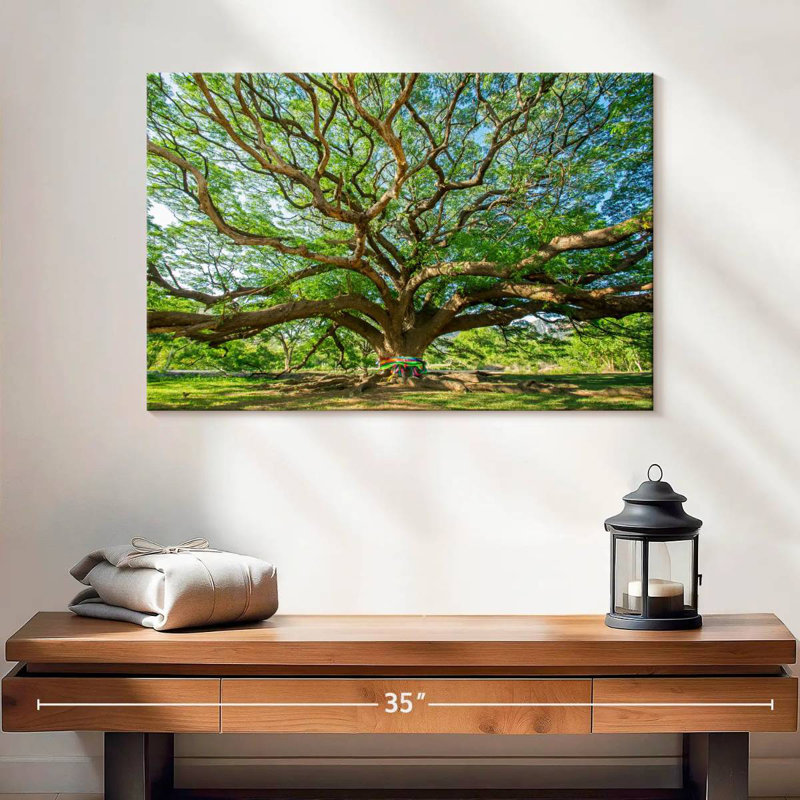 Vieil arbre Harnek, H 16 po x l 24 po