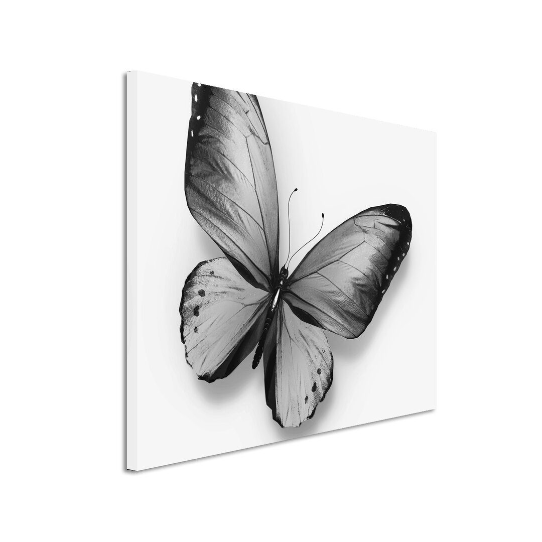 Leinwandbild „Schmetterling I“, Fotodruck