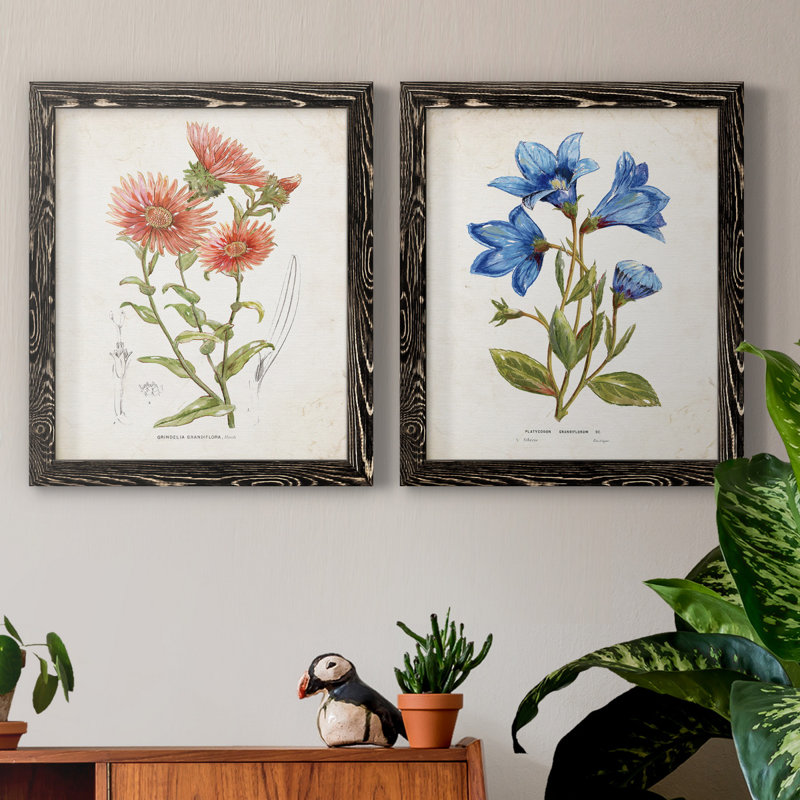 «Botanical I», ensemble de 2 reproductions d'art, Pas de tapis, H 31,5 po x l 47 po x P 1,5 po, H 20 po x l 17 po x P 1 po